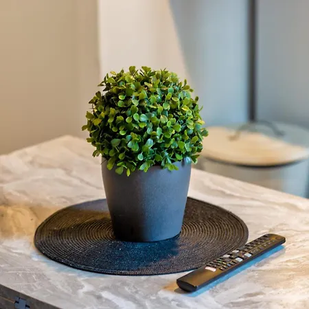 Le Music Votre Joli F2 Au Coeur De ! Apartment *