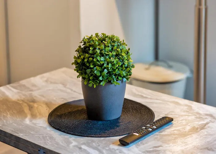 Le Music Votre Joli F2 Au Coeur De ! Apartment *